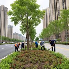 2026世界杯官网 绿化工程割草机